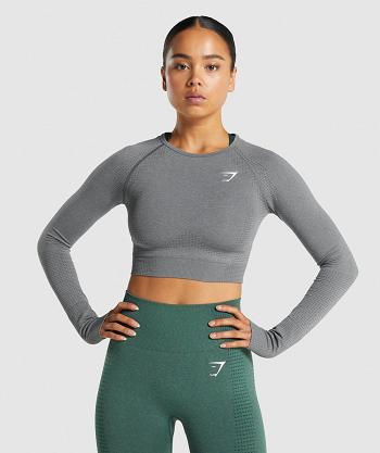 Corp Tops Gymshark Vital Seamless 2.0 Long Sleeve Mujer Gris | CO 2541ILH